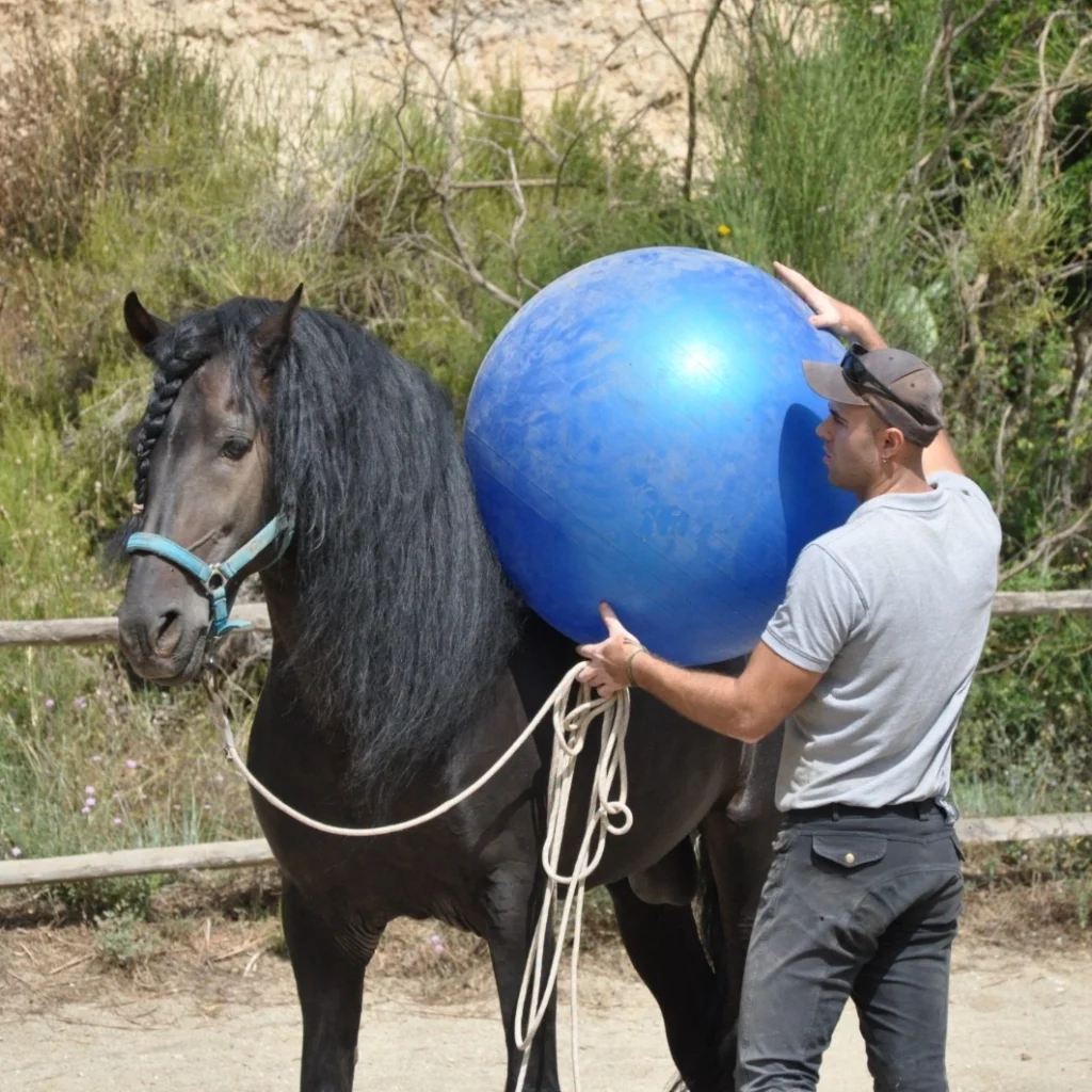 Kinetic Horse educacion equina