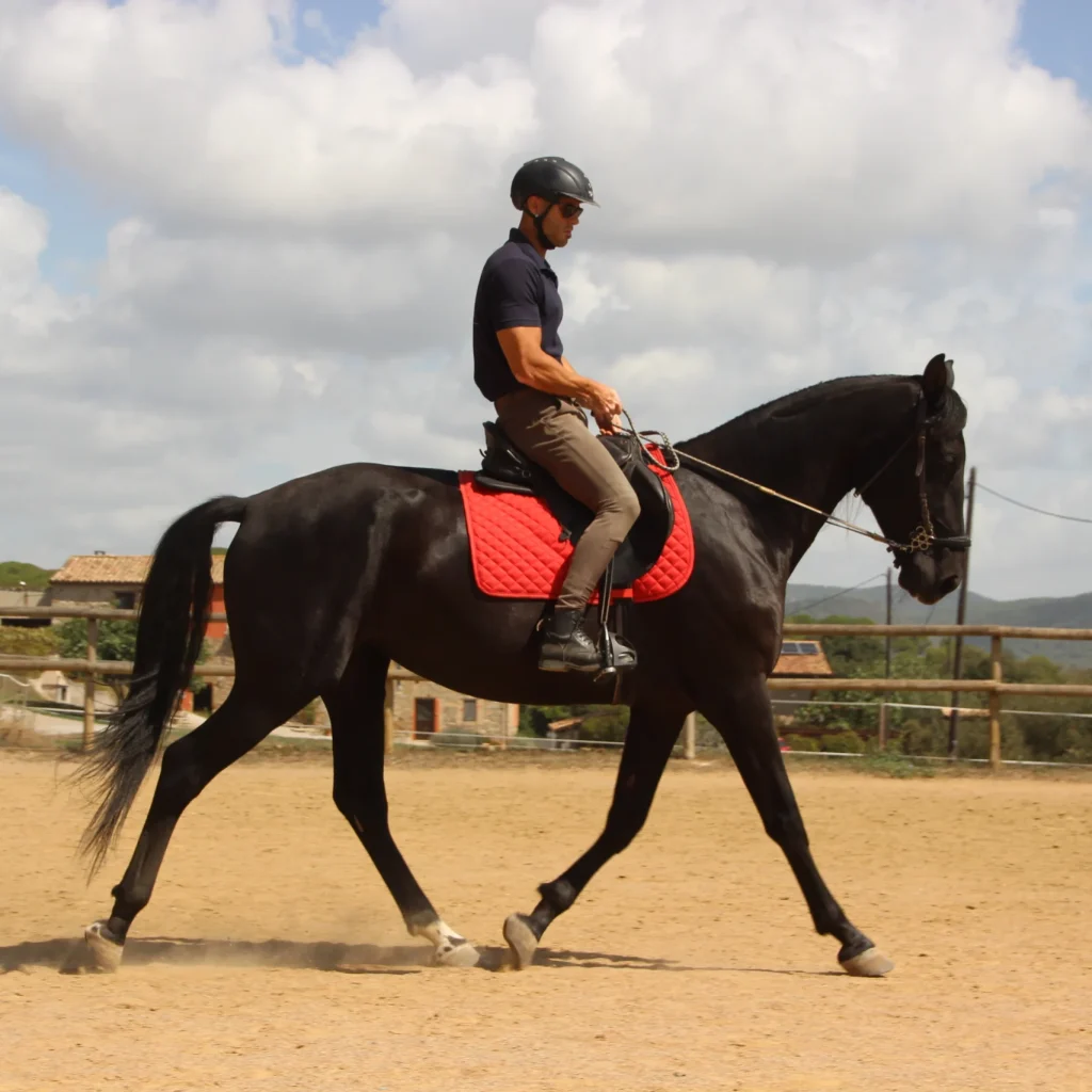 Kinetichorse clase tenificación